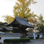岡崎城へ紅葉見物。歩行訓練も兼ねて行きました。